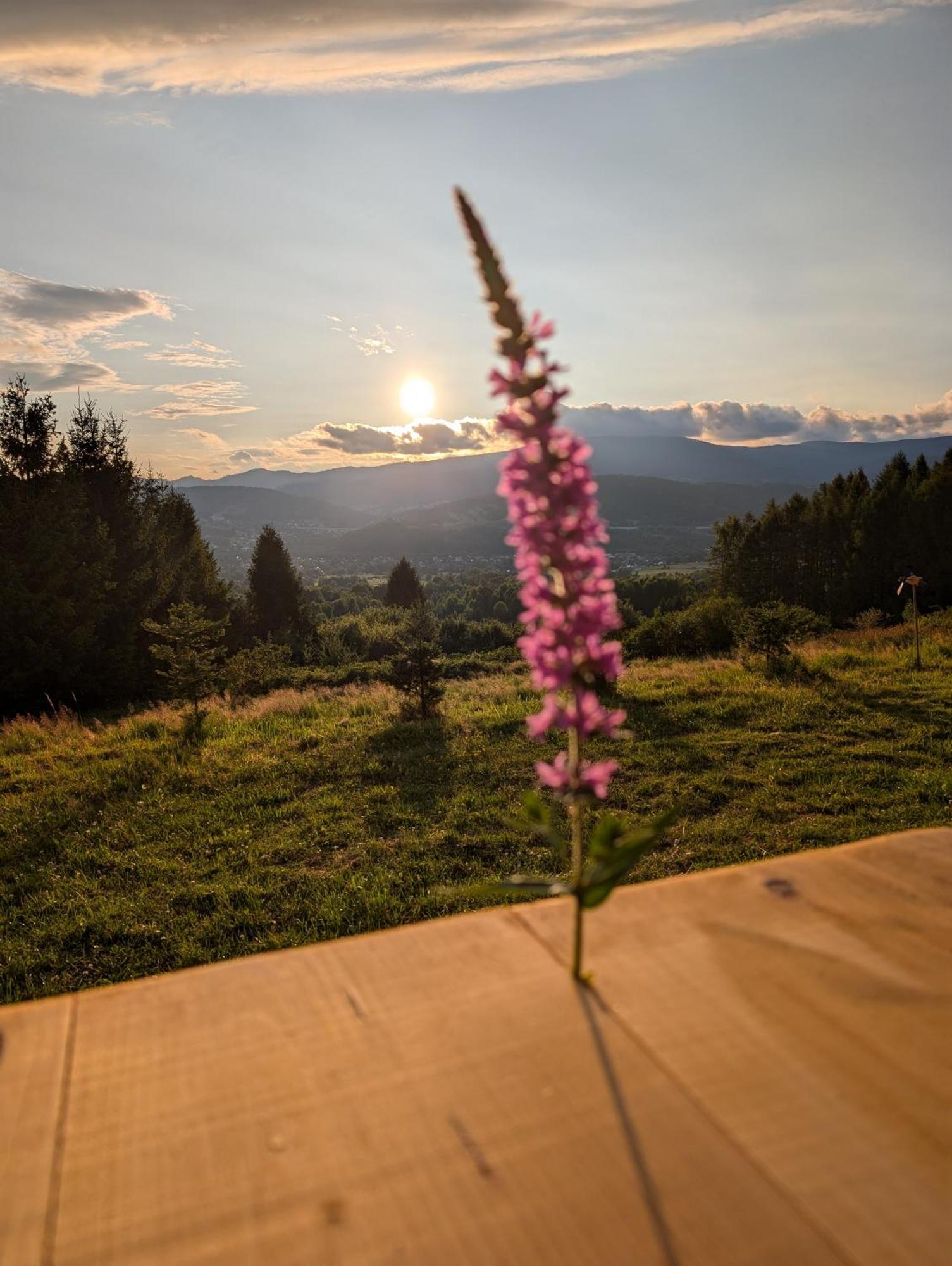 Villa Beskid Milówka Kültér fotó